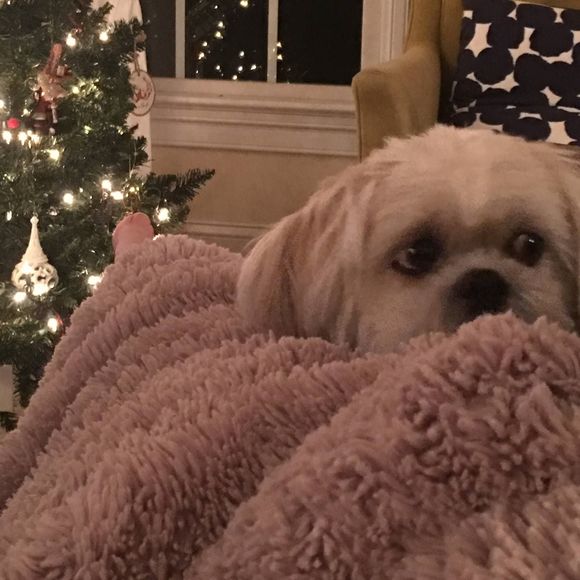 Meet your Posher, Tiffany - Picture 1 of 1